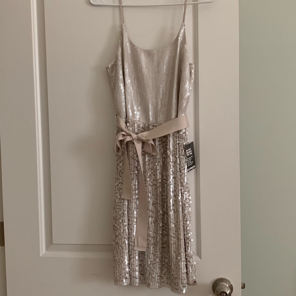 Express Cocktail Sequin Dress